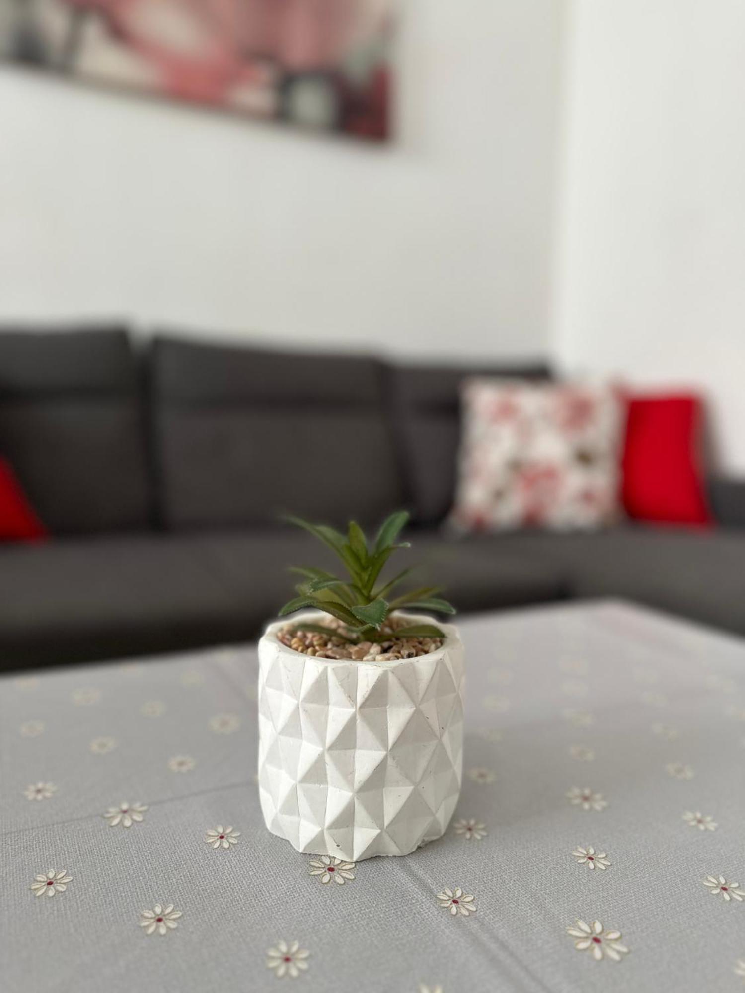 Modern And Bright 5 Bedroom Apartment Del Prado Gandia Exterior photo